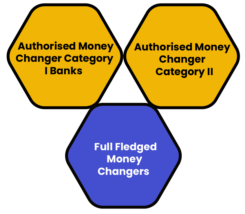 Types of Full Fledged Money Changers