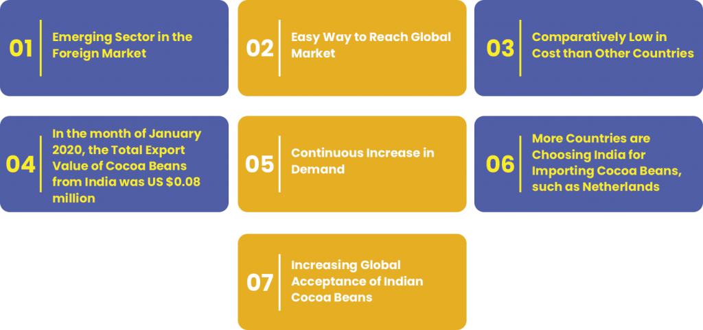Reasons to Start Cocoa Beans Export Business