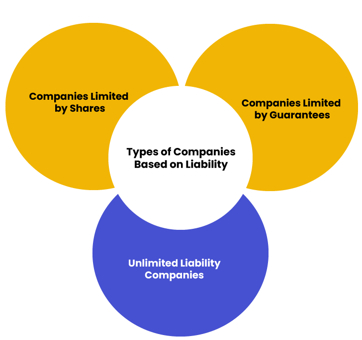 Companies Based on Liability