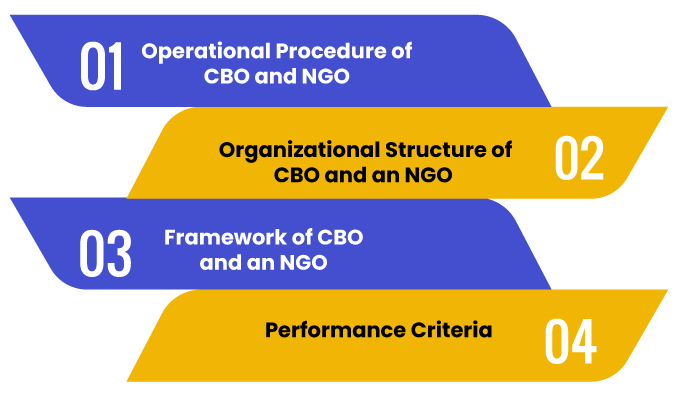CBO and an NGO