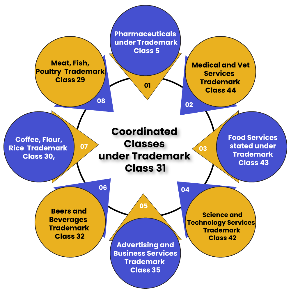 Co-ordinated Classes TM Class 31